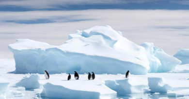 Civilização Perdida Antártida